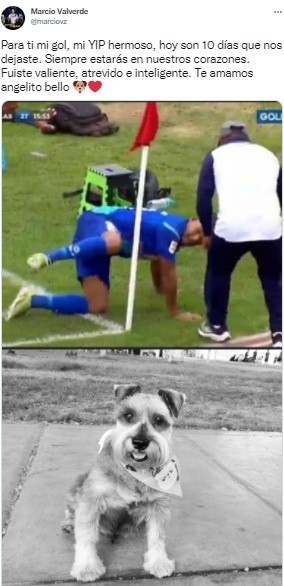 El futbolista homenajeó la memoria de su mascota con un gol.