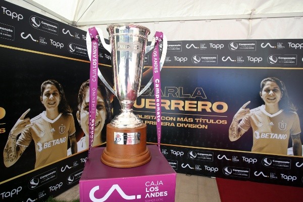 (Foto: Jorge Díaz / campeonatochileno.cl)