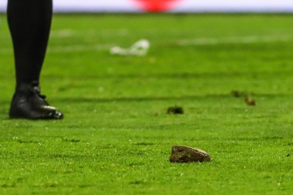 La piedra que cayó al campo de juego puede causar la suspesión del estadio de la UC