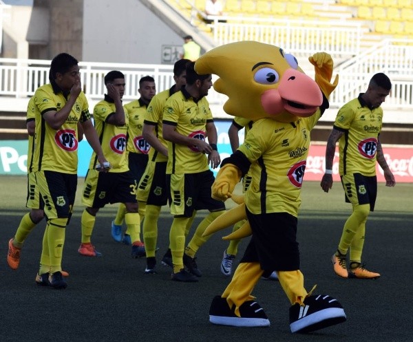 El Canario, de San Luis