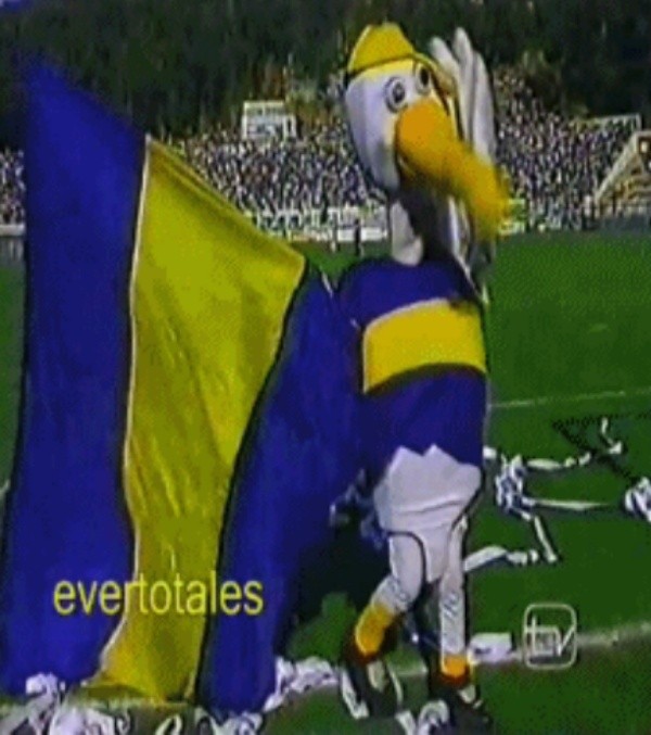 La noventera Gaviota de Everton