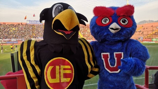 Hispanito y Chunchito en Santa Laura como buenos amigos