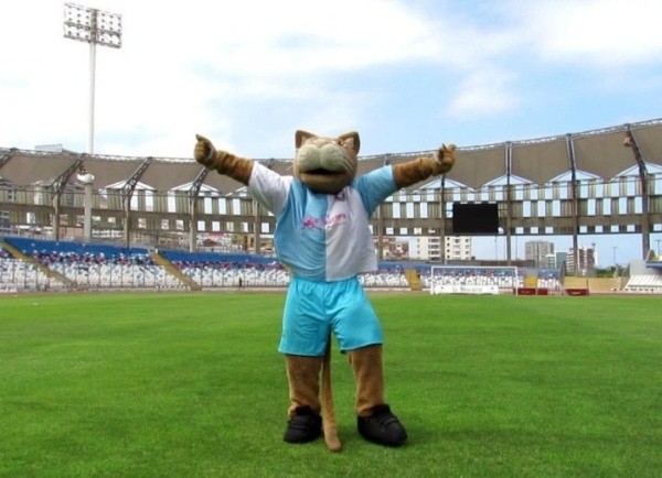 El Puma de Antofagasta