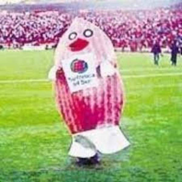 Salmonix, de Puerto Montt