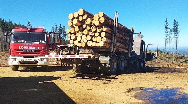 Gobernador del Biobío acusó al gobierno del expresidente Piñera por haber dejado de perseguir la “ruta del dinero” en posible corrupción por negocio de la madera