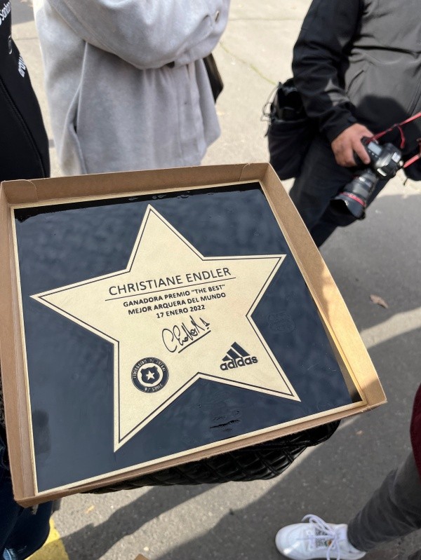 Así luce la estrella de Christiane Endler. (RedGol)