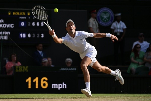 Djokovic la rompió en Wimbledon. | Foto: Getty