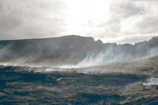 Parque Nacional Rapa Nui tras incedios