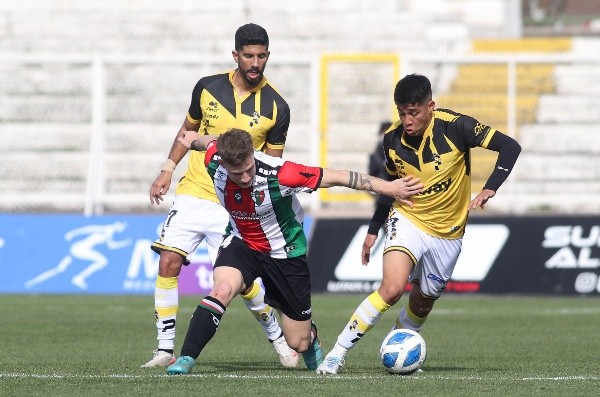 Coquimbo Unido ve con buenos ojos que los puntos vayan a Palestino.