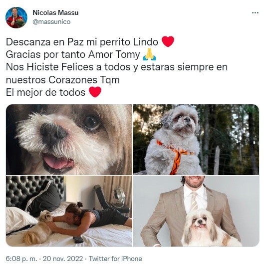 Nico Massú despidió a su perrito Tomy en redes sociales.