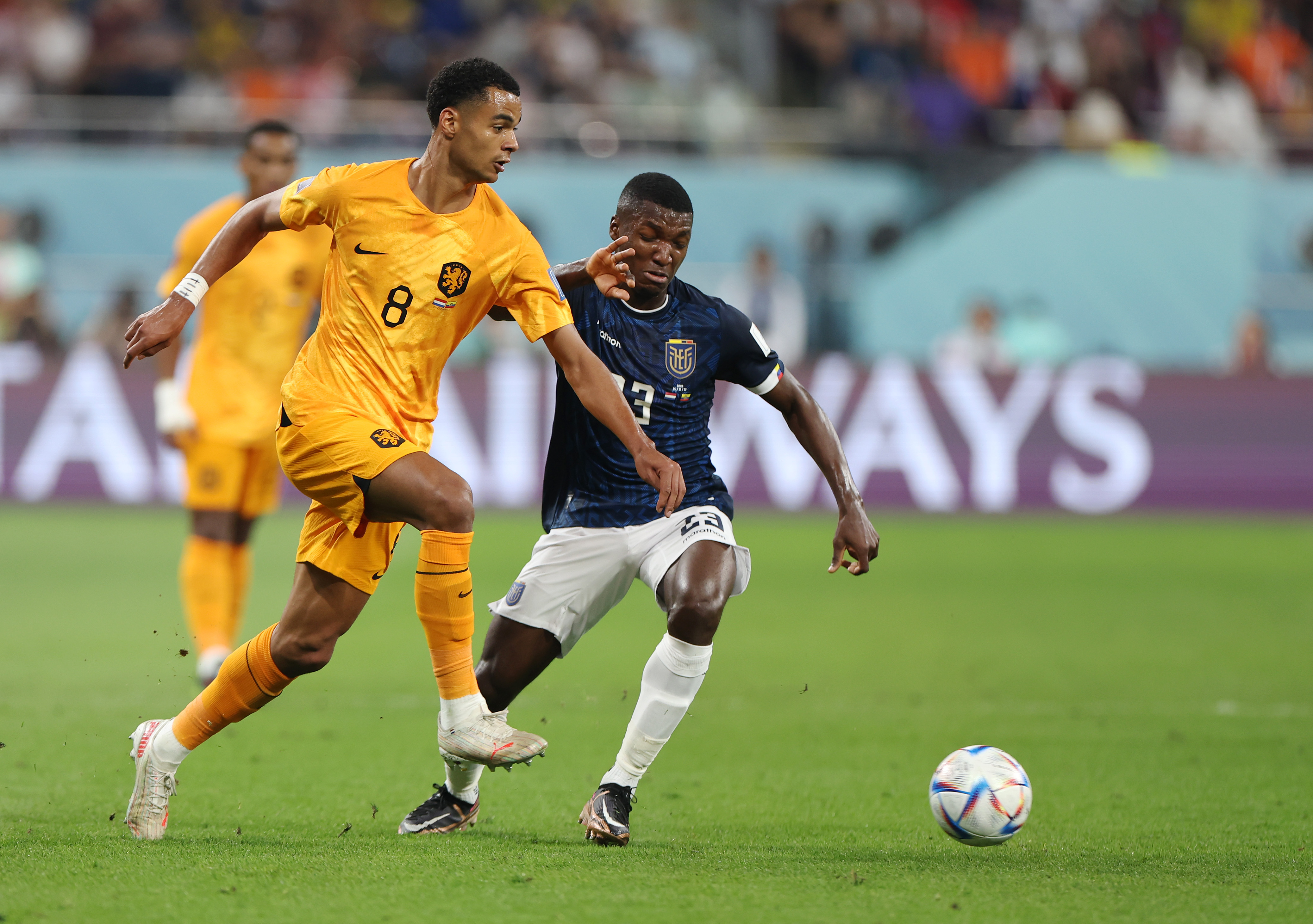 Gakpo pone en ventaja a Países Bajos con golazo a Galíndez en Ecuador.
