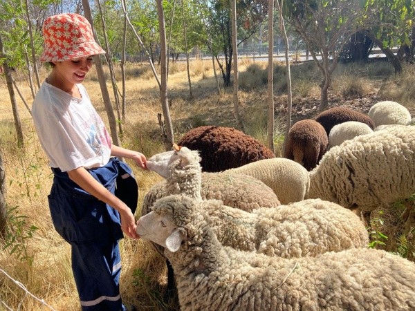 Gabriela Chávez, tesista Facultad de Ciencias Veterinarias U de Chile    (Foto: Prensa UChile)