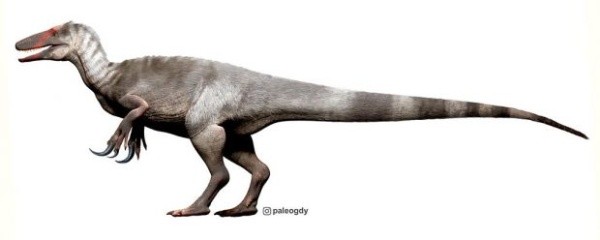 Modelamiento del megarraptórido descubierto recientemente