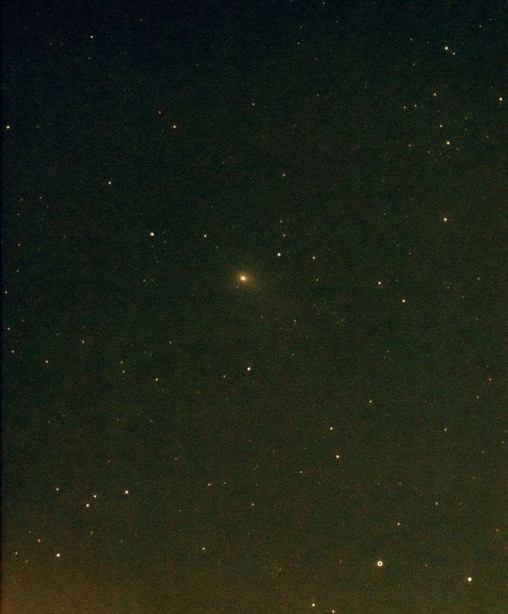 Instagram: @chica.ialp