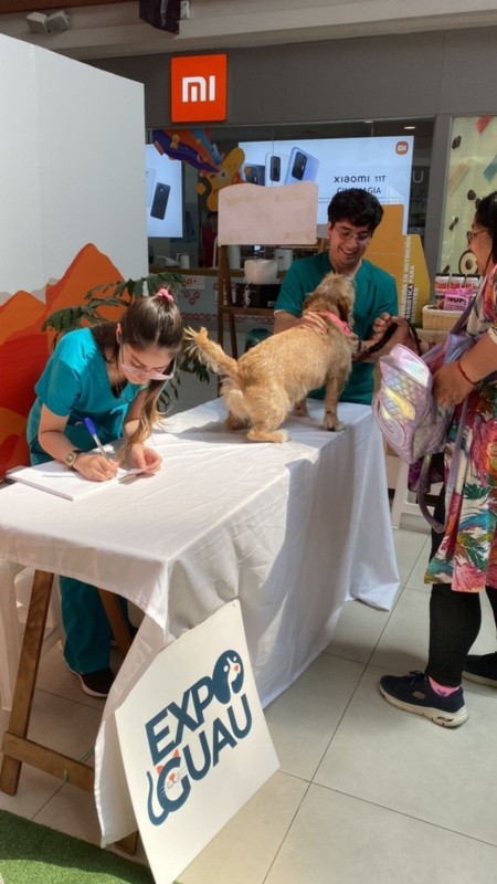 Atención Veterinaria gratuita