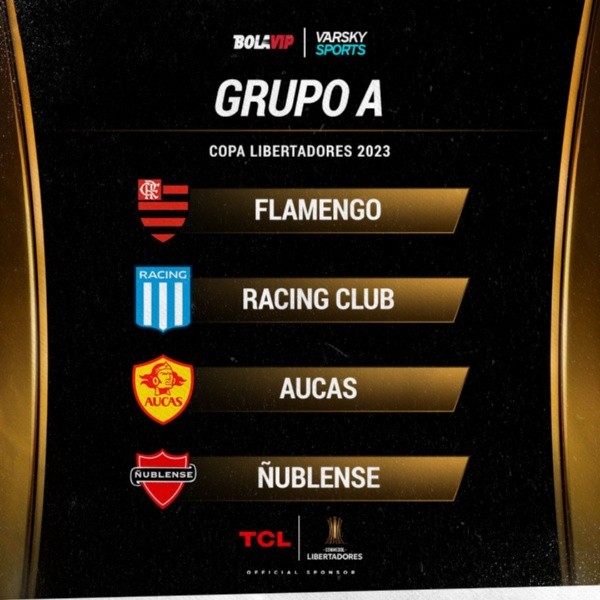 El Grupo de Ñublense en la Copa Libertadores